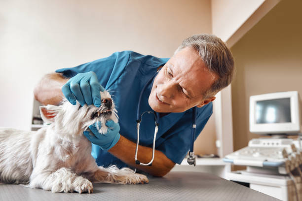 Best Emergency Root Canal Treatment in Mccla, AL